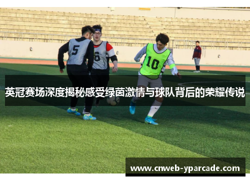 英冠赛场深度揭秘感受绿茵激情与球队背后的荣耀传说